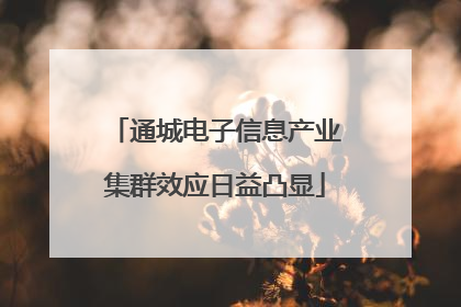 通城电子信息产业集群效应日益凸显
